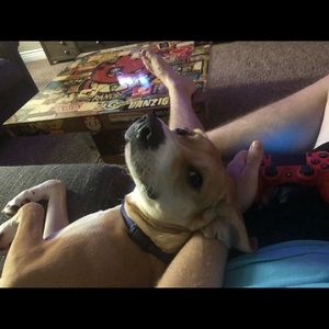 Meet your Posher, Justin